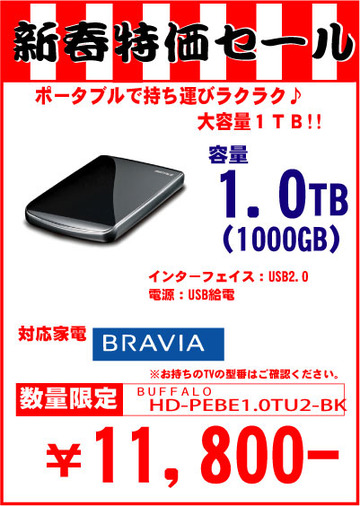 P-HDD1