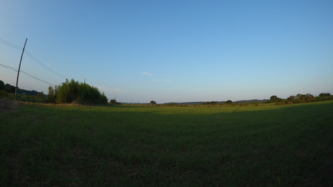 DSCN4810