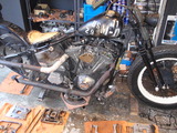 PB011217