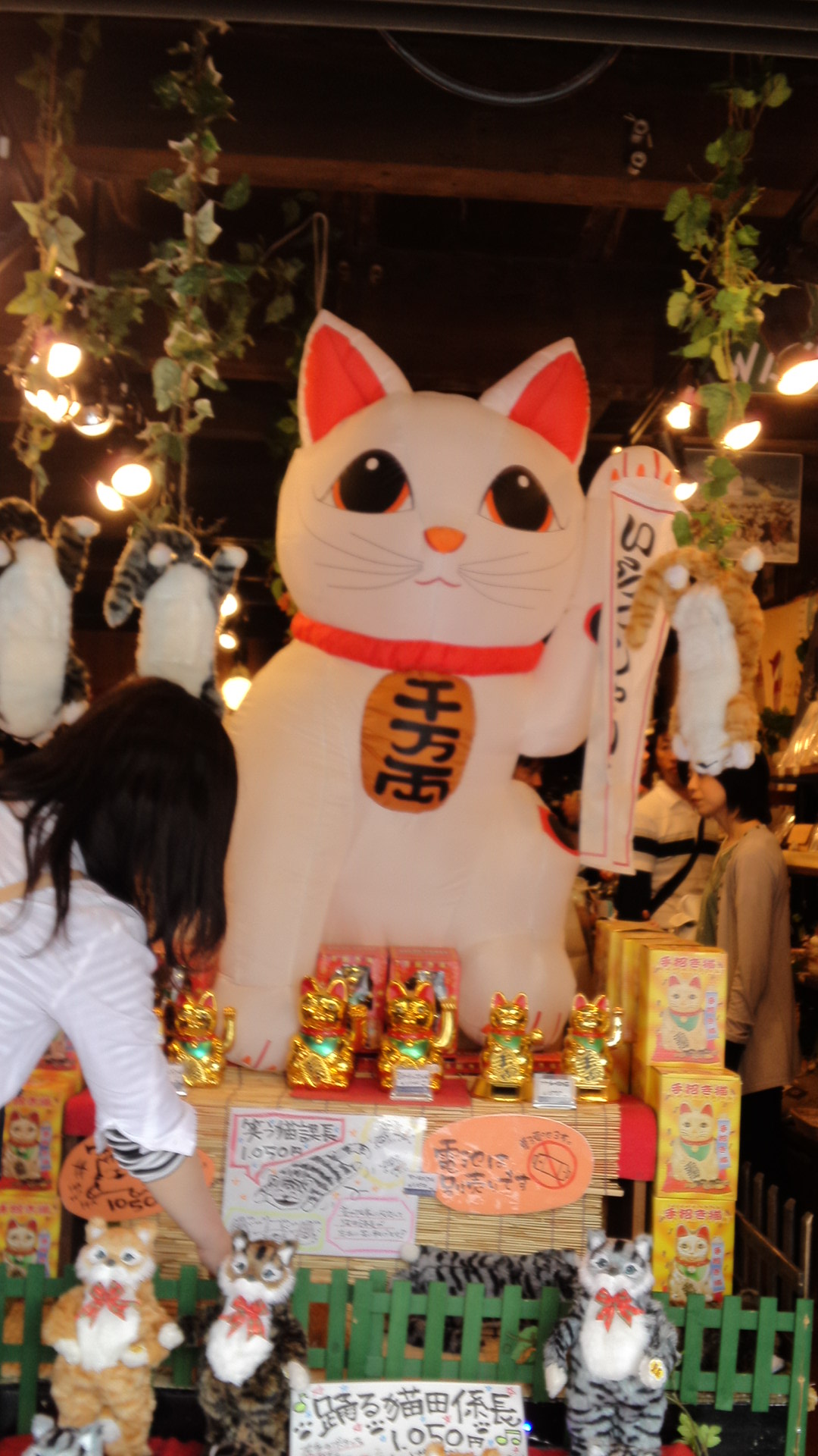 太宰府天満宮」参道で見つけた「猫屋敷」 : Kissと見た空と雲！