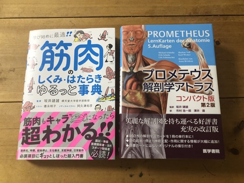 F3033F95-EA03-43FA-B50A-98F2E1E2B164