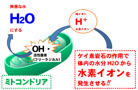 SSによる ミトコンドリアの活性酸素水素で　無害化　画像01god