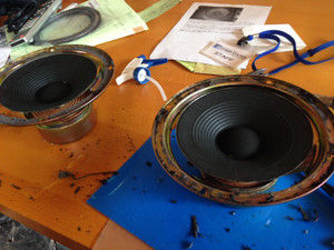 Img_2384 Img_2384