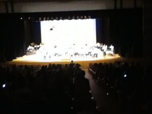 Img_0020_2 Img_0020_2