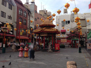 Img_3072 Img_3072