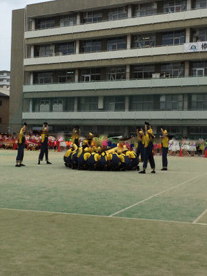 Img_0409 Img_0409