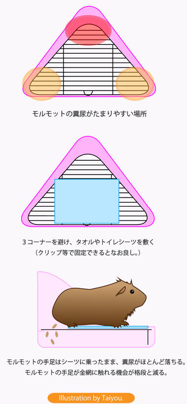 こんどは「モルモットが手足を休めつつ清潔を保てるトイレ」をDIY!