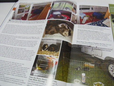 モルモット専門誌「ギニーピッグマガジン(Guinea Pig Magazine)」レビュー