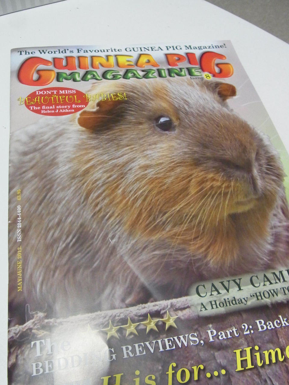 モルモット専門誌 ギニーピッグマガジン Guinea Pig Magazine レビュー モルモット飼育ブログ Daily Mocha Latte