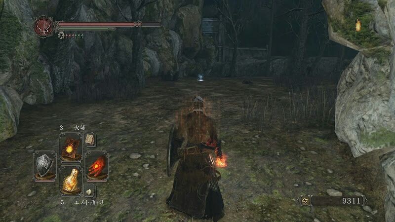 74)ダークソウル2攻略狩猟の森その7結晶トカゲの倒し方動画付き