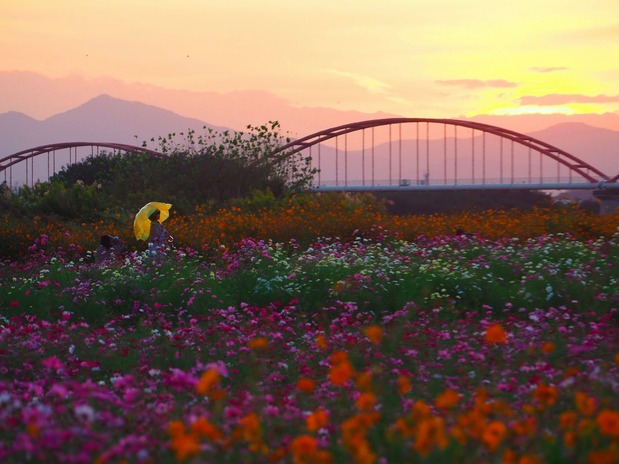 2²«¿§¤¤¥Ñ¥é¥½¥ë