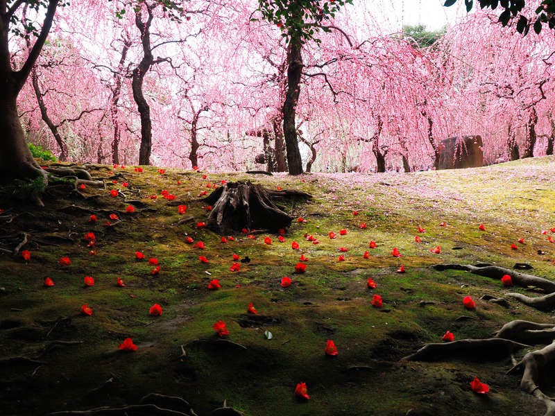 ²ÖÆÞ¤ê ÄØÍî¤Ä