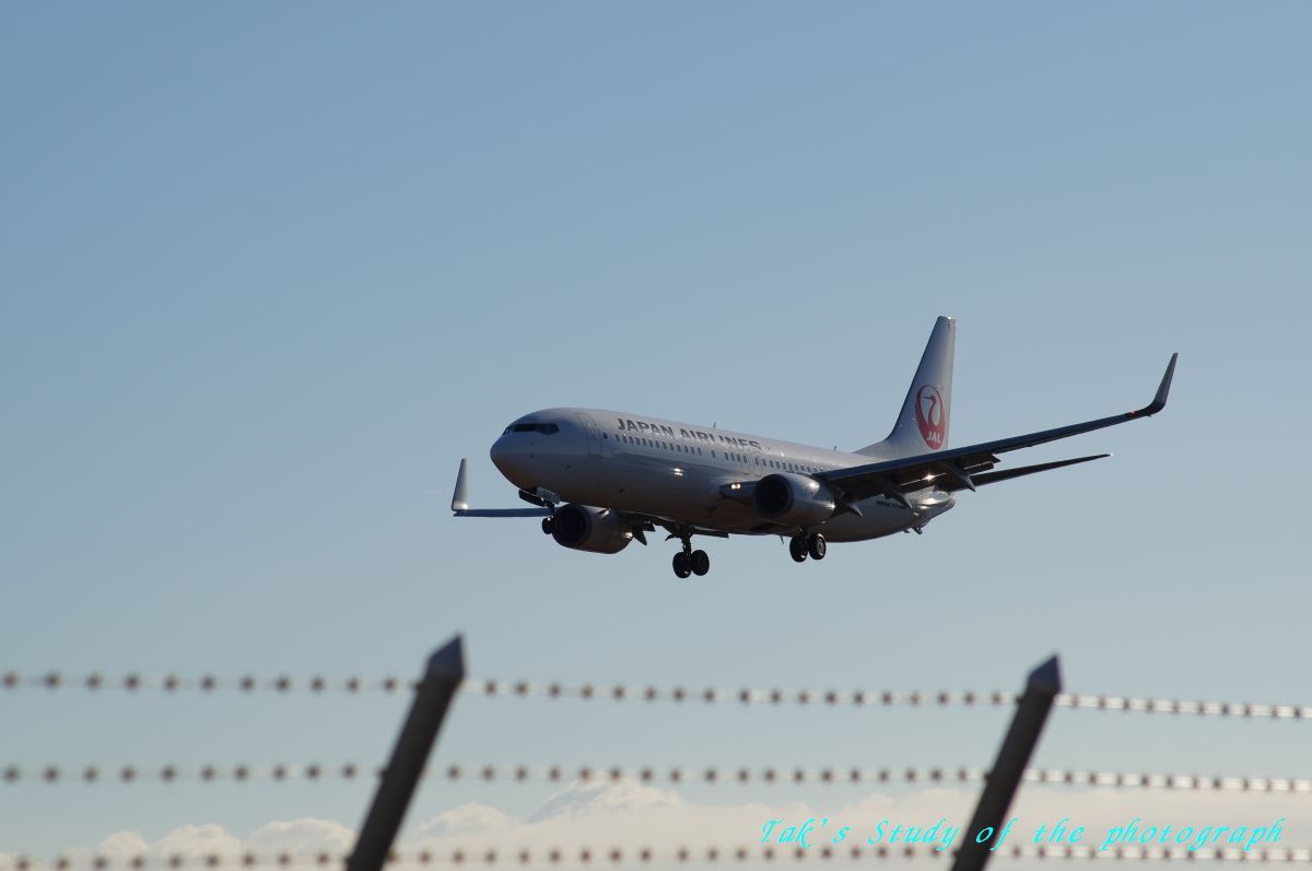 たｋの不定期こうしんちう 空港