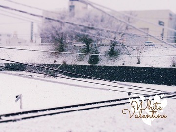 20140214 White Valentine