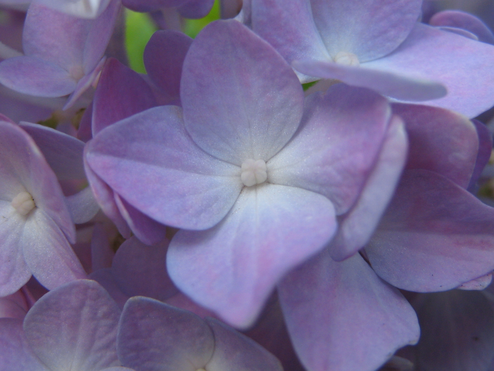 本 差別感情の哲学 中島義道 Gori Ppdwy632