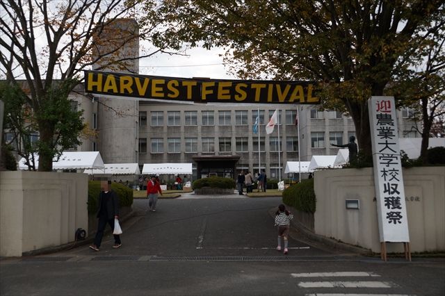 20141115_ぶらっとツー_収穫祭と紅葉と (10)_R
