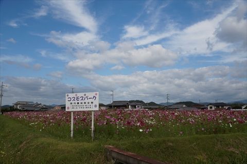 20141004_法華口ツー (2)_R