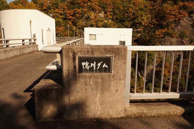 20161113_OSG紅葉ツー (99)_R