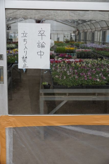 20141115_ぶらっとツー_収穫祭と紅葉と (31)_R
