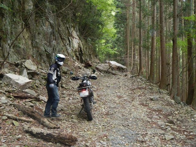 20130609_ツーリング(西播磨林道) (93)_R