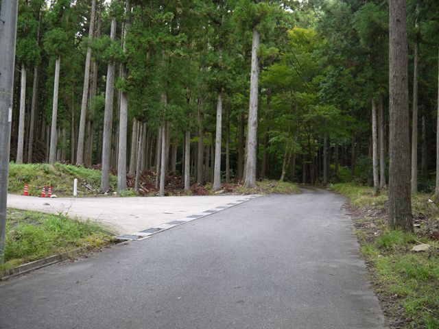 P1000904_R
