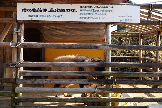 20160221_ぶらっと近場 (51)_R