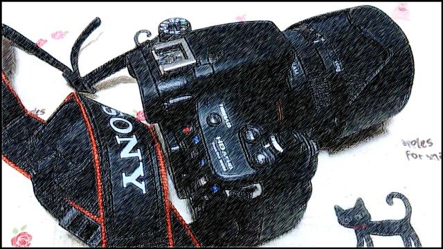 DSC_1293_R