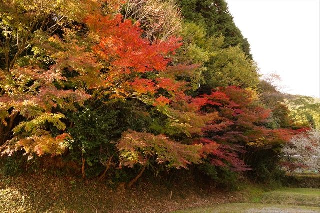20141115_ぶらっとツー_収穫祭と紅葉と (59)_R