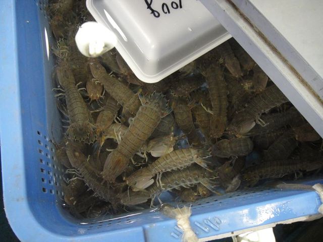 DSC00740_R