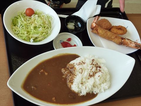 20140104_走り初め(淡路) (47)_R