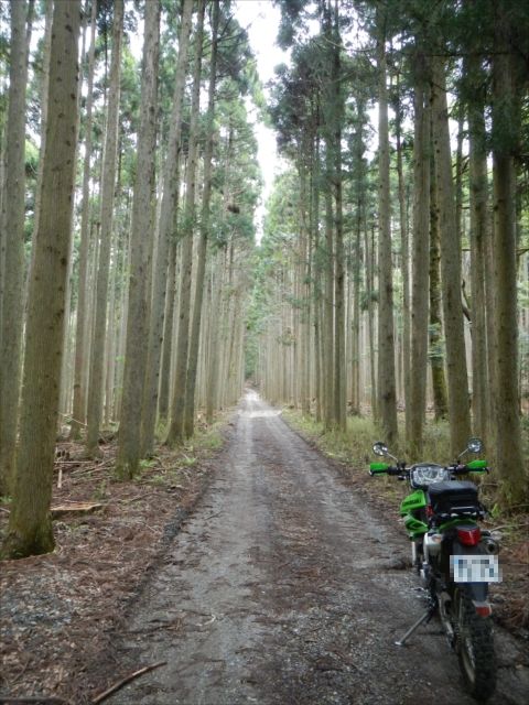 20140501_西播磨林道ツー (21)_R