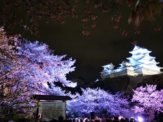 20160402_夜桜とか (99)_R