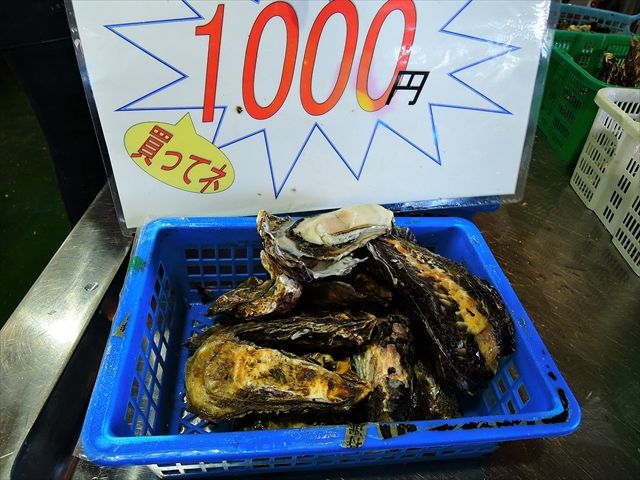 20151219_カキオコツー (24)_R