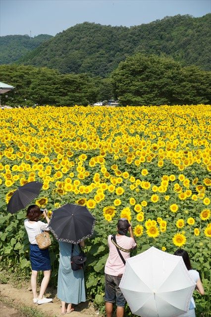 20140720_プチツー(佐用) (15)_R