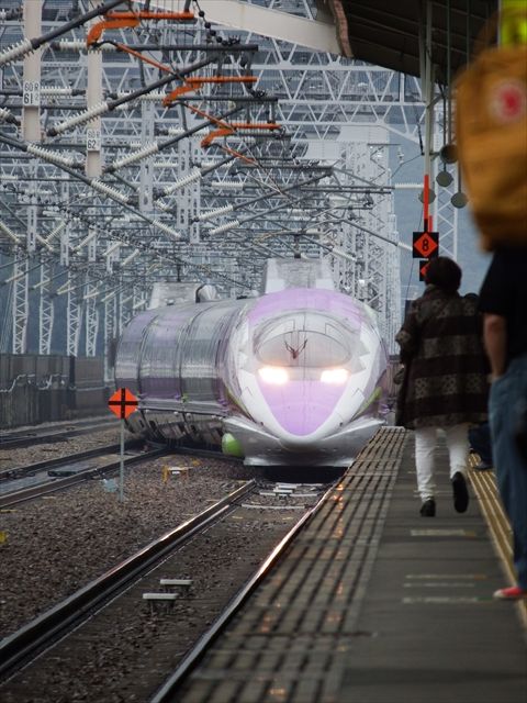 20151108_エヴァと城と (17)_R