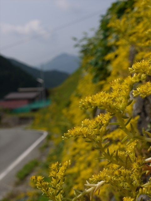 20140525P_プチツー(多可) (29)_R