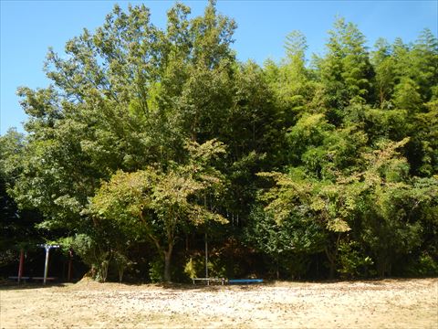20130916_近所ツー (109)_R