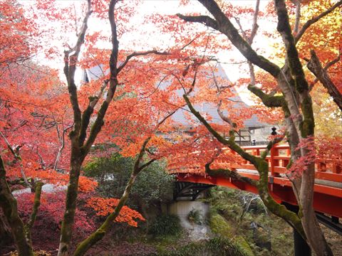 20131124_播州支部ツー2 (108)_R