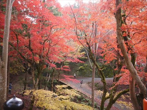 20131124_播州支部ツー2 (89)_R