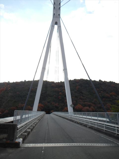 20131208_ÀÖÊæ¥Ä¡¼µ (5)_R