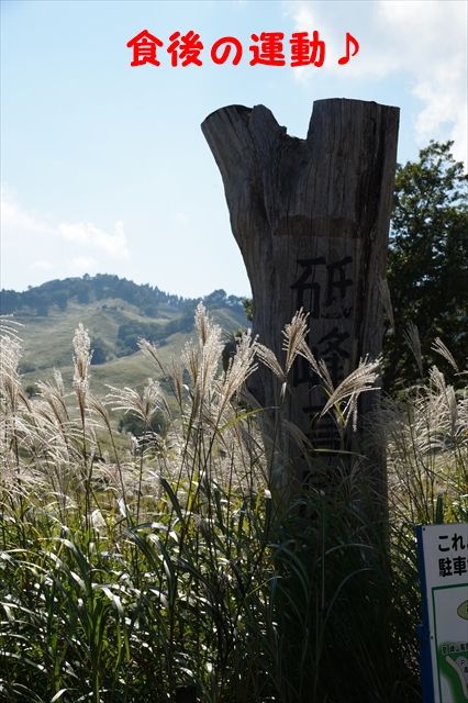 20150927_OSG生野ツー (113)_R