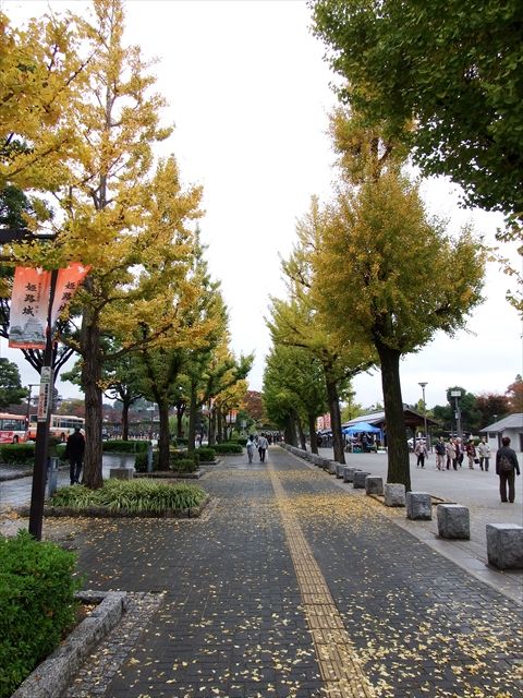 20151108_エヴァと城と (51)_R