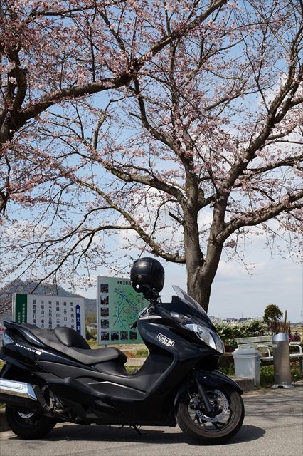 20160402_桜ツー (443)_R