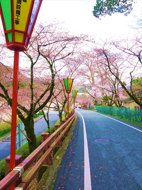 20140330_龍野プチつー (22)a_R