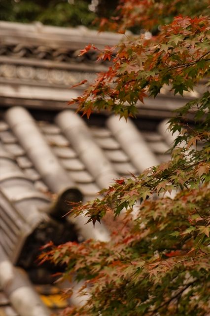 20141115_ぶらっとツー_収穫祭と紅葉と (187)_R