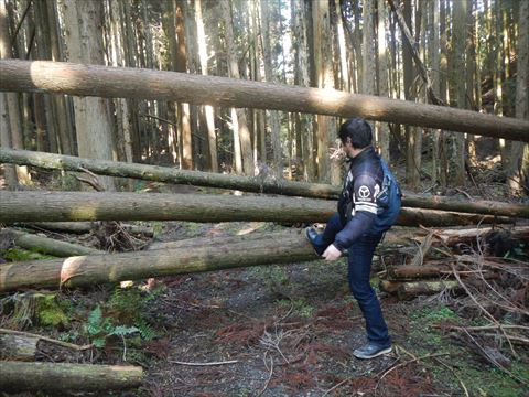 20131109_八塔寺ツー (114)_R