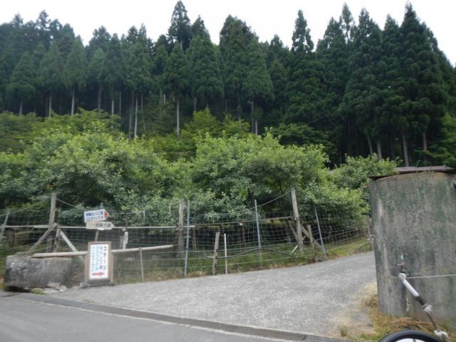 20130609_ツーリング(西播磨林道) (34)_R