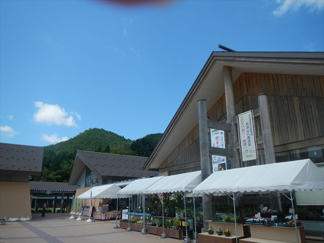 20140907_¥¹¥¿¥ó¥×¥é¥ê¡¼¥Ä¡¼1 (28)_R