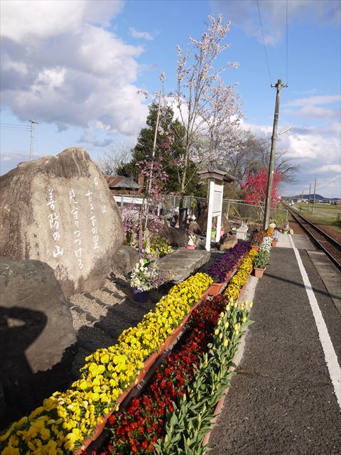 20140406_節句祭り他 (85)_R