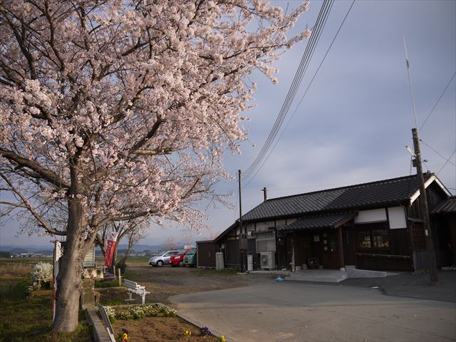 20140405_加西の桜 (30)_R